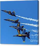 Flying Formation Canvas Print