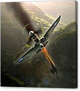 Flying Tigers Canvas Print