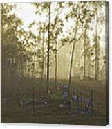 Fog At Sunrise Canvas Print