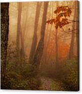 Foggy Autumn Canvas Print