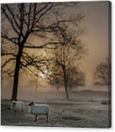 Foggy Morning Canvas Print