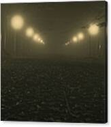 Foggy Night In A Park Canvas Print