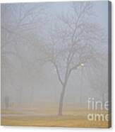Foggy Park Morning Canvas Print