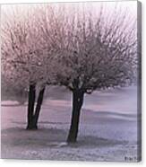 Foggy Winter Trees Canvas Print