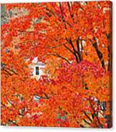 Foliage Window Canvas Print