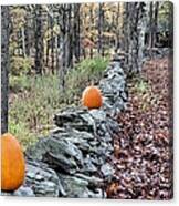 Follow The Pumpkin Trail Canvas Print