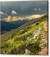 Foot Path Into The French Alps Canvas Print