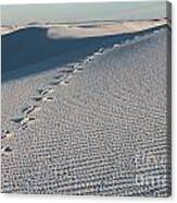 Foot Prints In The Sands Canvas Print