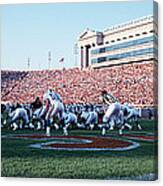 Football Game, Soldier Field, Chicago Canvas Print