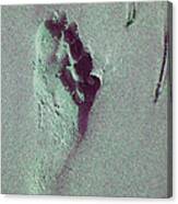 Footprint Canvas Print