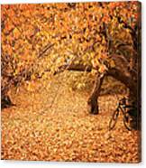 For Two - Autumn - Central Park Canvas Print