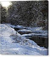 Forest And Stream Canvas Print