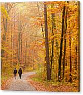 Forest In Fall - Trees With Beautiful Autumn Colors Canvas Print