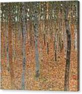 Forest Of Beech Trees Canvas Print