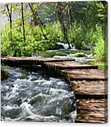 Forest Stream Scenery Canvas Print