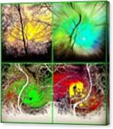 Forest Sunrise Through Four Different Canvas Print