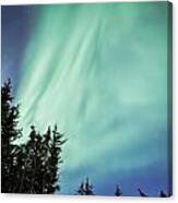 Forest With Aurora Canvas Print