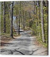 Fork In The Road Canvas Print