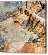 Fossilized Dinosaur Ribs - Dinosaur National National Monument Canvas Print