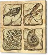 Fossils Canvas Print
