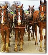 Four Horse Power Canvas Print