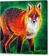 Foxfire Canvas Print