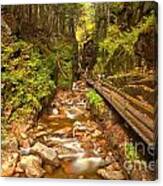 Franconia Notch Flume Gorge New Hampshire Canvas Print