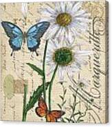 French Botanical-marqueritte Canvas Print