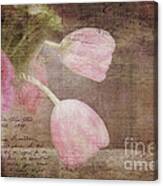 French Tulips Canvas Print