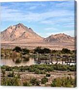 Frenchman Mountain And Oasis Canvas Print