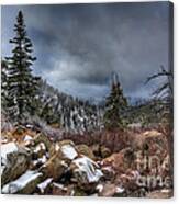 Fresh Snow In Big Bear Canvas Print