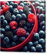 Fresh Summer Berries Canvas Print