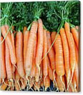 Freshly Grown Carrots In A Country Canvas Print
