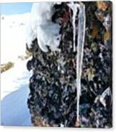 Frio...#estalactita #stalactite #nieve Canvas Print