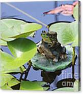 Frog And Friend Canvas Print