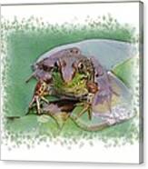 Frog On A Lotus Pad Canvas Print