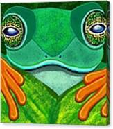 Frog Peeking Over Leaf Canvas Print
