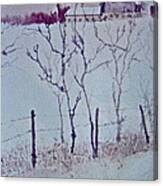 From Beyond The Fence Canvas Print