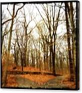 From Today's Walk In The Park #trees Canvas Print