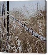 Frost On A Wire Canvas Print