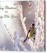 Frosty With Christmas Greetings Canvas Print