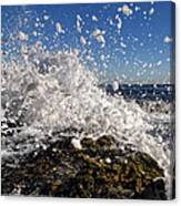 Froth And Bubble Canvas Print