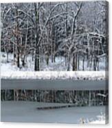 Frozen Canvas Print