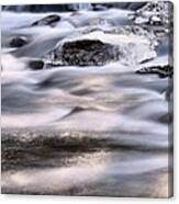 Frozen Waters Canvas Print