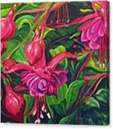 Fuchsia Fantastic Canvas Print