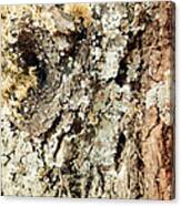 Fungus Bark Vintage Canvas Print