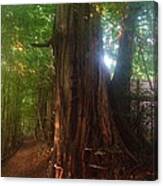 Fungus Tree Canvas Print