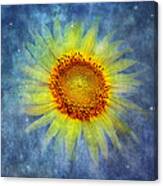 Galactic Bloom Canvas Print