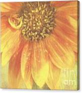 Garden Sunshine Canvas Print