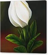 Gardenia Canvas Print